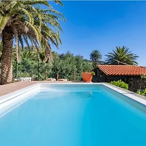 Palmeras , Temisas Spanien